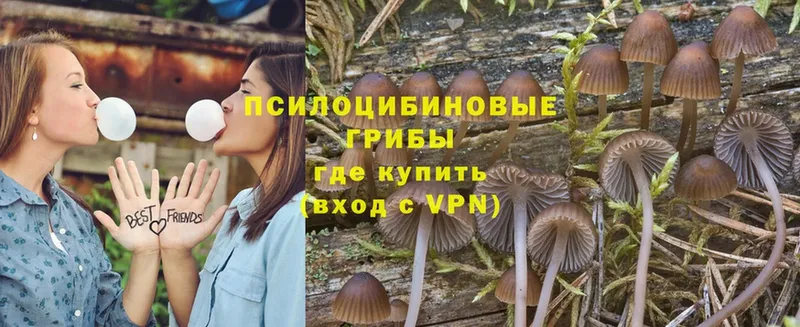 сайты даркнета как зайти  как найти   Анапа  Галлюциногенные грибы MAGIC MUSHROOMS  OMG сайт 